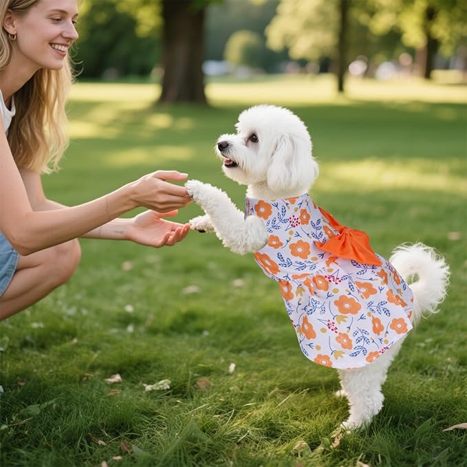 choyaxo Floral Dog Dress Cute Dog Skirt Pet Dress Summer Pet Clothes for Puppy Small Cats