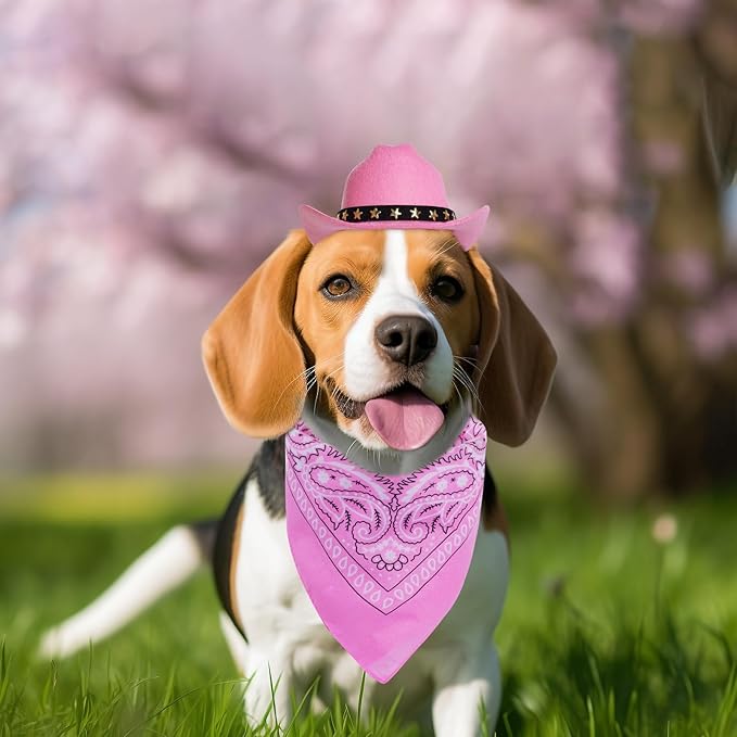 choyaxo Halloween Costumes for Dogs Cat Pet Cowboy Costume Cowboy Hat with Bandana Set for Halloween, Christmas, Holiday, Party, Cosplay (Pink, Medium)