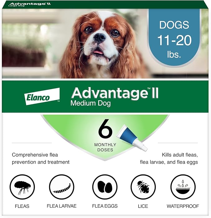 Advantage II Medium Dog, 6 pack