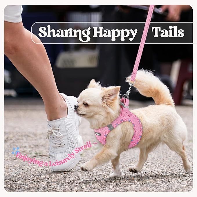 rabbitgoo Dog Harness Small Sized and Leash Set, Step in Soft Light Puppy Vest, Breathable Mesh Pet Harness, Reflective for Safe Easy Walking, Pink & Plaid Trim XXS