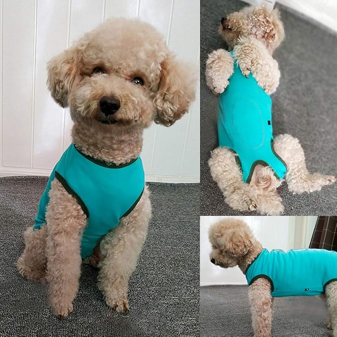 Dog’s Recovery Suit Post Surgery Shirt for Puppy, Wound Protective Clothes for Little Animals(Blue-XL)