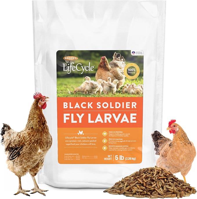 Black Soldier Fly Larvae Chicken Treats, Mealworms Substitute, Grubs for Chickens, High Calcium for Laying Hens, Made in USA (5 lbs)