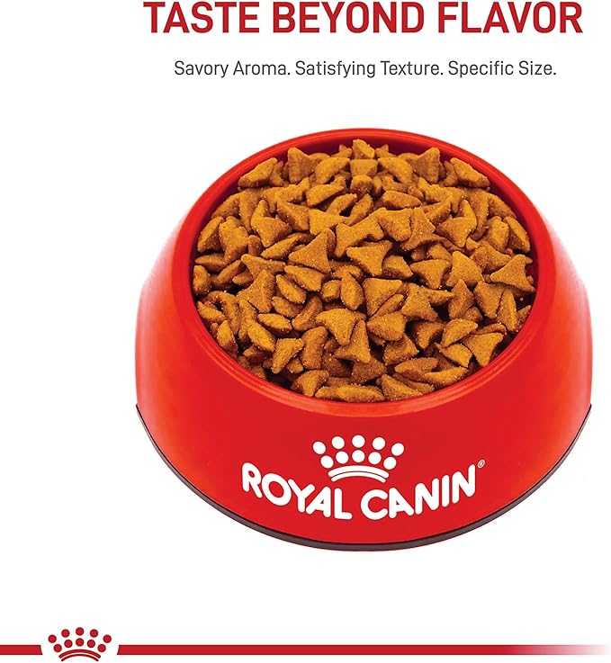 Royal Canin Feline Care Nutrition Hairball Care Adult Dry Cat Food, 6 lb Bag