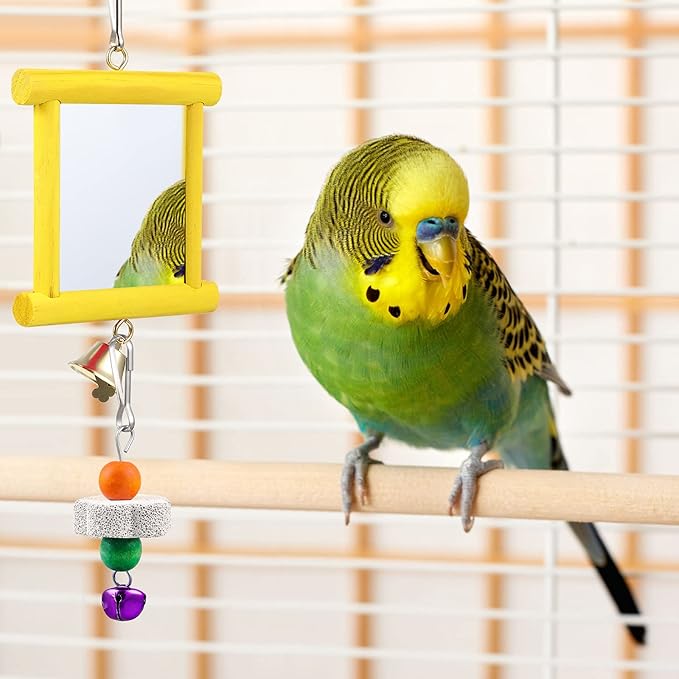 Sumind 2 Pieces Chicken Mirror Toys Hanging Swing Mirror with Bell Wooden Pecking Toy and 4 Pieces Beak Grinding Molar Stones for Hens Birds Parrots