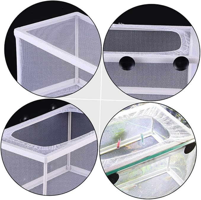 3pcs Fish Breeding Incubator with Suction Cups Tropical Fish Breeding Tanks for Fry and Eco-Friendly Design Observation Increases Survival Rate