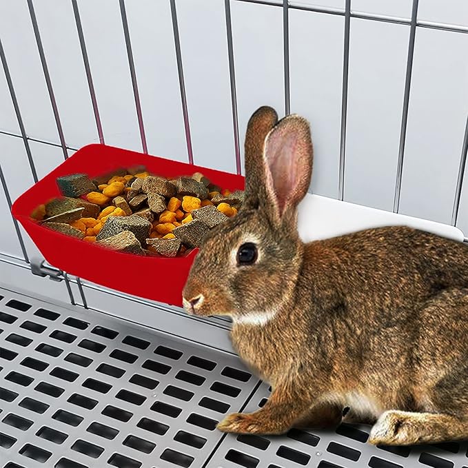 6 Pack Feeder Waterer Chicken 21 oz Food Water Cage Cups Puppy Cat Rabbit Hanging Feeding Dish Coop Bowl Watering Container Treats Drinker for Pigeon Bird Bath Basin Hamster Bed