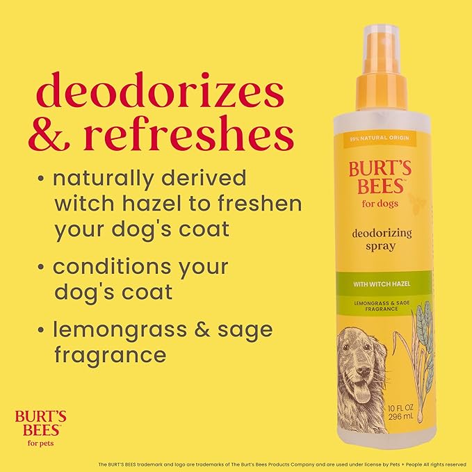 BURT'S BEES FOR PETS Deodorizing Spray for Dogs with With Hazel, Lemongrass and Sage Fragrance, 99% Natural Origin Formulas, Best Waterless Dog Shampoo - Gentle Dry Shampoo for Dogs, 10 oz