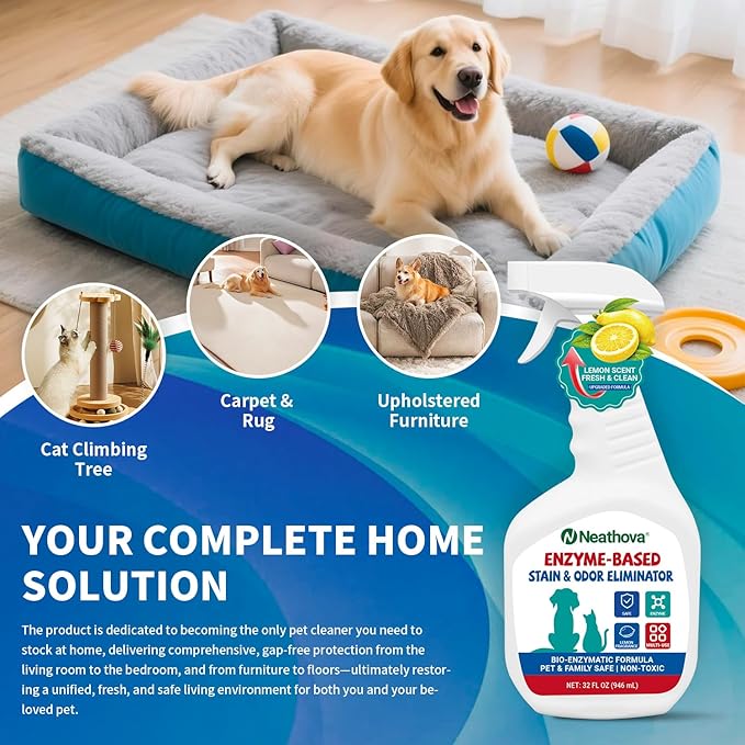 Stain & Strong Odor Eliminator, Enzyme Cleaner, Pet Odor Eliminator for Home - Carpet Stain Remover for Cats & Dog Pee - Urine Destroyer - Carpet Cleaner Spray Clear (Lemon)