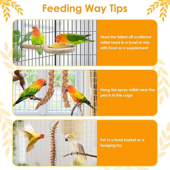 KATUMO 2LB Spray Millet Treat for Pet Birds, Natual Sun-Dried Bird Millet Parrot Food for Parakeet Budgie Cockatiel Finches Lovebird Conure Parrots Hamster