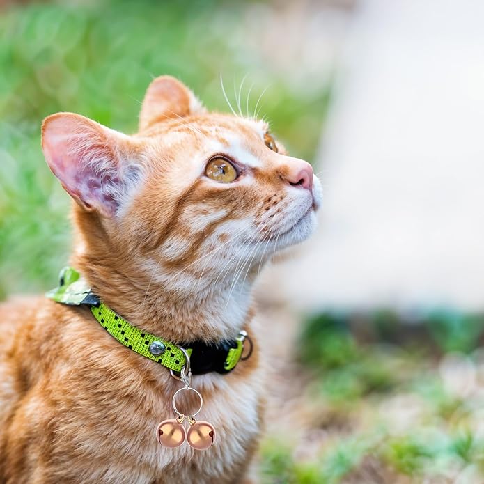 Stainless Steel Cat Bells, 4 PCS Double Bells for Dog Collar Mini Cat Bell Loud Anti-Lost Gold Bell for Cats Collars Gold Pet Pendant Accessories forr Training Dogs-Bell