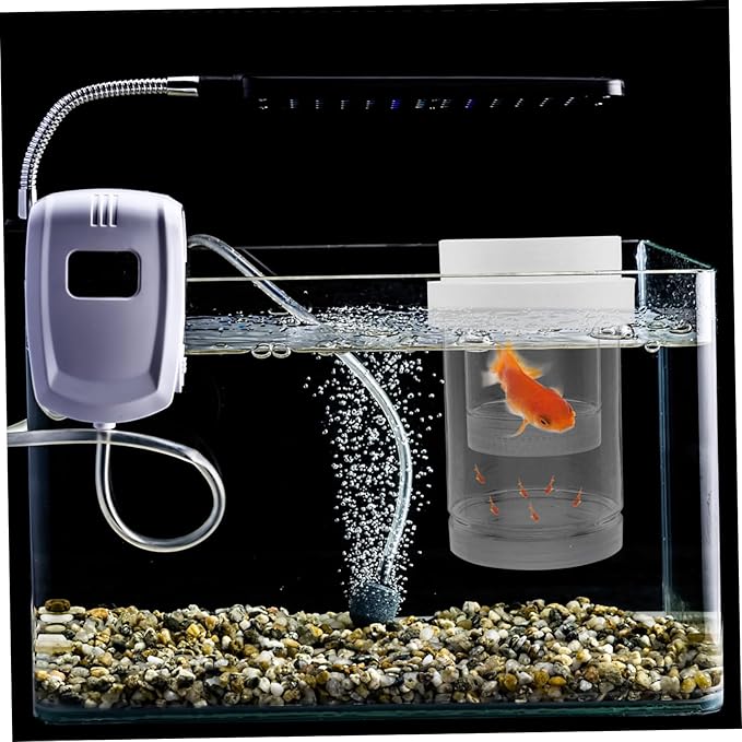 Kisangel 1 Set Fish Breeding Box: Guppy Breeder Box - Floating Isolation Hatchery Incubator for Guppy Betta Shrimp - Transparent Fish Tank Divider