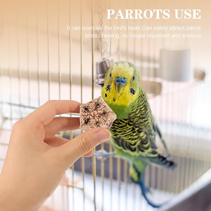 POPETPOP Parrot Foraging and Bird Shredding Natural Chewing Blocks 12Pcs Healthy Wooden Chew Treats for Parakeets and Small Birds Cage Accessories