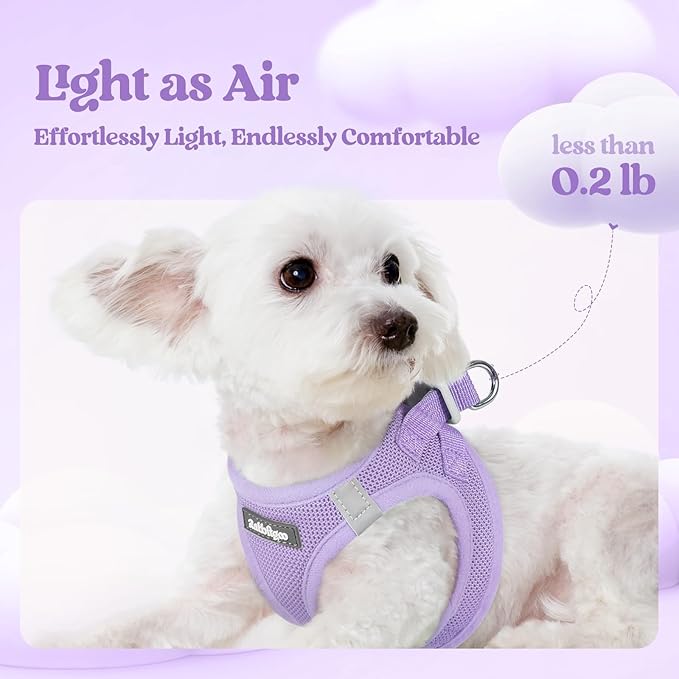 rabbitgoo Dog Harness Small Sized and Leash Set, Step in Soft Light Puppy Vest, Breathable Mesh Pet Harness, Reflective for Safe Easy Walking, Light Purple M