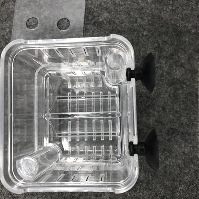 Suspended Double Compartment Fish Breeding Tanks Clear Incubator Box Set of 2 for Fry and Shrimp Hatching Breedinig Use Fish Isolation Container
