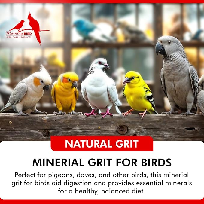 Morning Bird Pigeon Grit - Healthy & Nutritious Pigeon Food to Support Strong Muscles & Bones for Grit Eating Birds - Supports Digestion & Packed with Essential Minerals 9 lbs