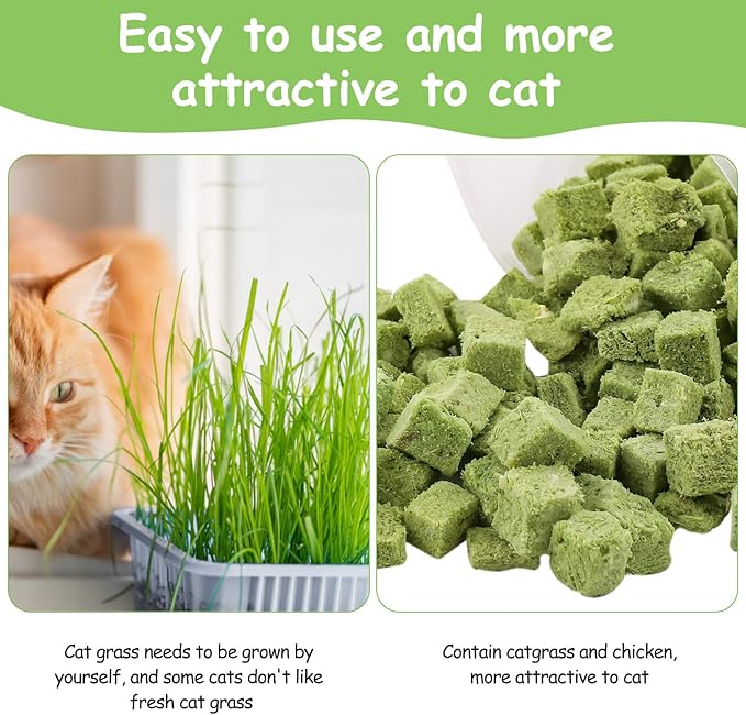 HavenJanny 60g Cat Grass Treats for Indoor Cats, Freezed Dried Cat Grass Teething Stick Snacks for Cats, Edible Feline Chew Toys for Hairball Control and Oral Health