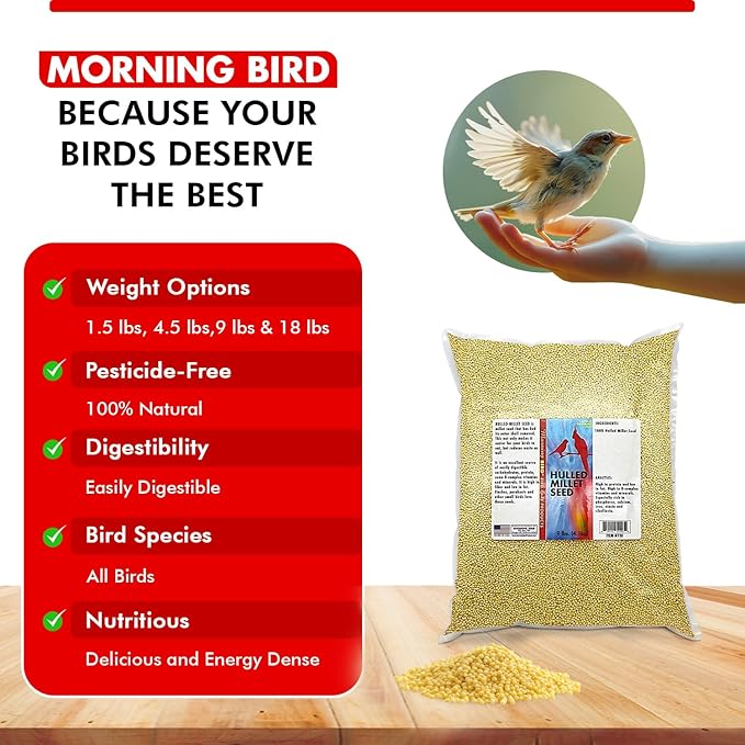 Morning Bird Hulled Millet 9 lbs – Nutritious Hulled Millet Seed - Waste Free - No Mess - Easily Digestible with High Fiber, Rich in Vitamins & Minerals for Birds, Ideal Bird Feed for All Bird Types
