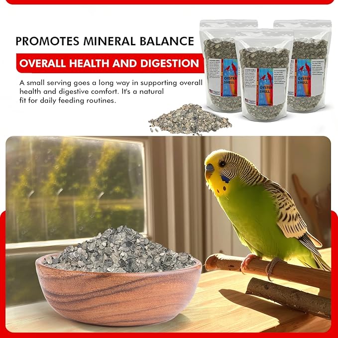 Morning Bird Oyster Shell for Birds 4.5 lbs (3-Pack, 1.5 lbs Each) – Natural Calcium Supplement – Sustainably Harvested from California Coast – Easy to Mix – Safe Year-Round Bird Food Additive