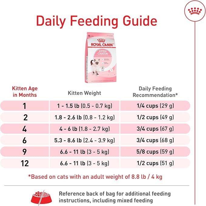 Royal Canin Feline Health Nutrition Kitten Dry Cat Food, 14 lb Bag
