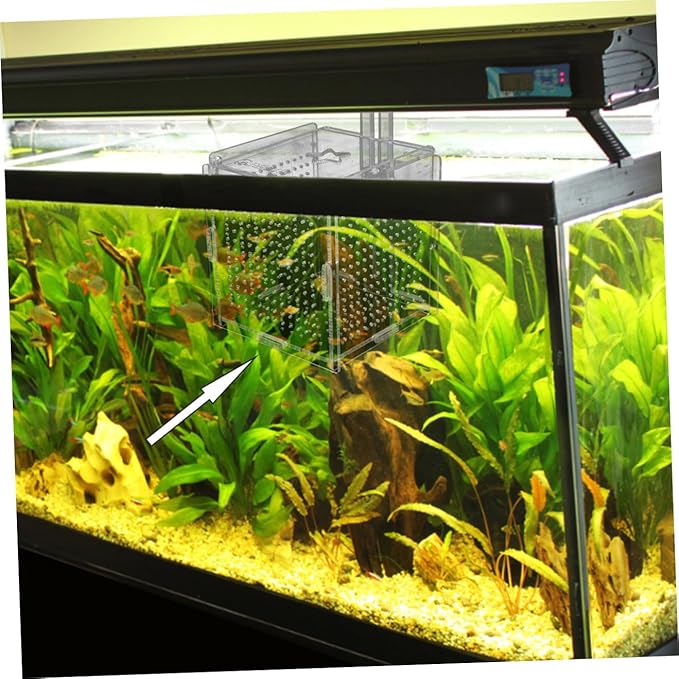 BESPORTBLE 1set Acrylic Fish Isolation Box for Aquariums Breeding Tank Divider Cups Design for Easy Observation and Sturdy for Fish Safety