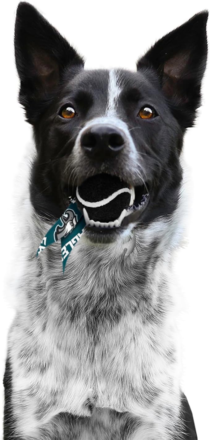Littlearth NFL Pet Ball Launcher