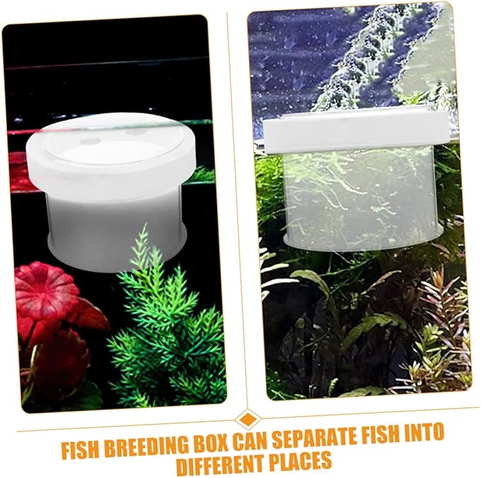 Acrylic Fish Isolation Box for Shrimp and Fry Breeding Separator Tank for Freshwater and Aquariums Easy to Observe and Install Breeding Container