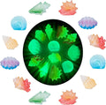 MIUPOO Glow Conch,Betta Stones,Glow in The Dark Crystal,Bonsai Decor,Chips Stone Small Decorative,Fish Tank Decor,6 Colors,12 Pieces.