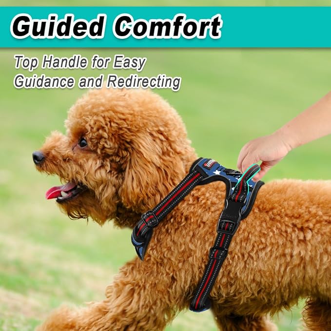 BARKBAY Dog Harness No Pull for Small Dogs - Adjustable, Reflective, Comfortable, No Choke, Heavy-Duty - Perfect for Outdoor Training, Walking, and Hiking - Strong & Durable - XS & Star
