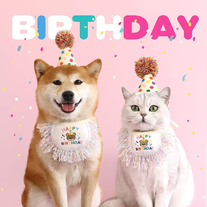 Dog Princess Costumes Puppy Birthday Bandana Scarf and Party Hat Cute Lace Dog Bib Scarf and Birthday Hat Doggy Birthday Party Decorations Set