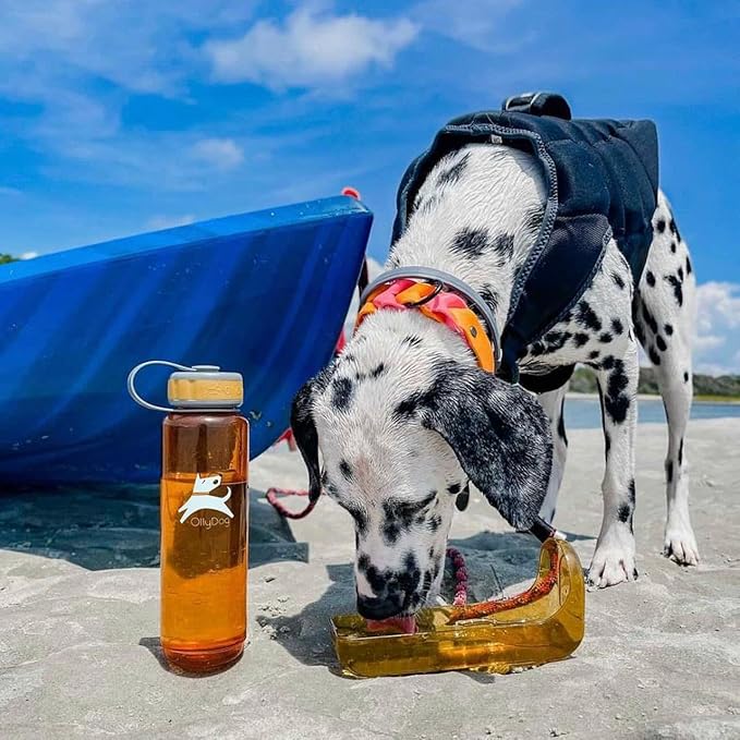 OllyDog OllyBottle | Tritan Dog Water Bottle with Detachable Bowl | BPA Free Leakproof Pet Dispenser | Hiking Travel (1L, Flame)