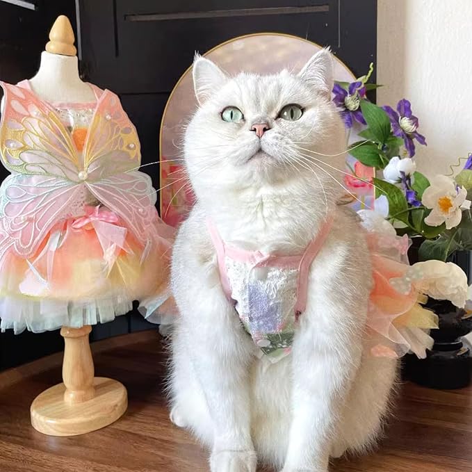 Cat/Small Dog Pretty Fairy Costume Clothing - Cute Dress Outfit for Spring Halloween Christmas Girl Party (2XL)