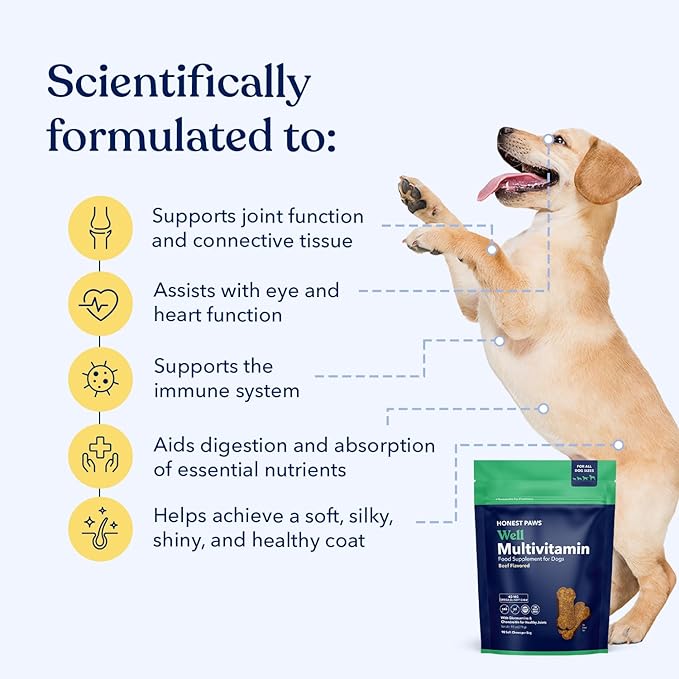 Honest Paws (90 Count) Dog Multivitamin Soft Chews with 10 Essential Vitamins - Joint, Coat, Immune, Eye & Heart Support - with Glucosamine, Chondroitin & Omega-3 - Beef Flavor (Pack of 2)