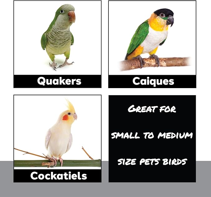 951 Double Duck Trap Bird Toy 9" - Handmade Foraging Bamboo Finger Traps & Rubber Ducks - Shredding & Chewing Cage Accessory for Conure, Parakeet, Lovebird & Cockatiel - Interactive Enrichment