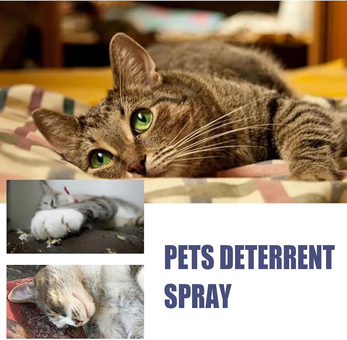 Cat Deterrent Spray, Natural Anti Scratch Cat Spray, Effective Cat Bitter Spray for Chewing & Scratching Keep Off Cat Indoor or Outdoor, Protect Furniture, Curtain, Floor & Plant，100 Ml