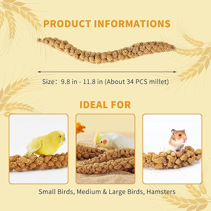 Fhiny Millet Spray for Birds, 2.2LB Natural Sun-Dried Millet for Birds Original Parakeet Food & Treats Spray for Parakeets Parrots Cockatiels Lovebirds Finches Budgies Hamsters