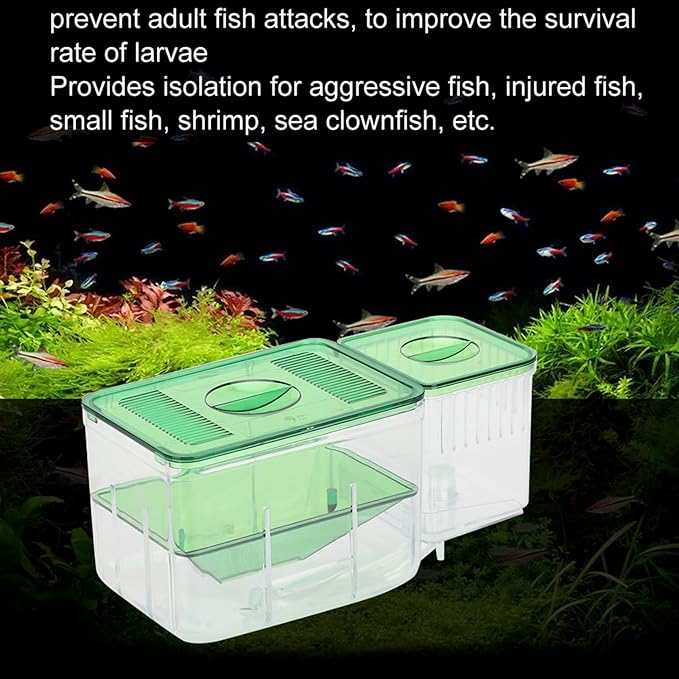 FILFEEL Aquarium Breeding Box for Isolation of Newborn Fish and Shrimp - DoubleLayer Incubator for Small Life