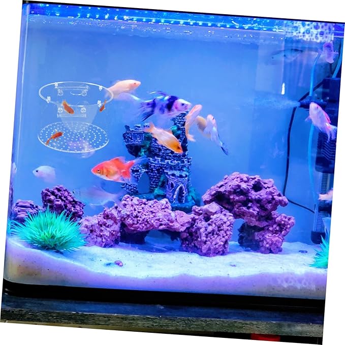 BESPORTBLE Fish Breeder Box Fish Breeding Tank for Isolation Lightweight Portable Aquarium Divider for Betta and Shrimp Easy to Install Design