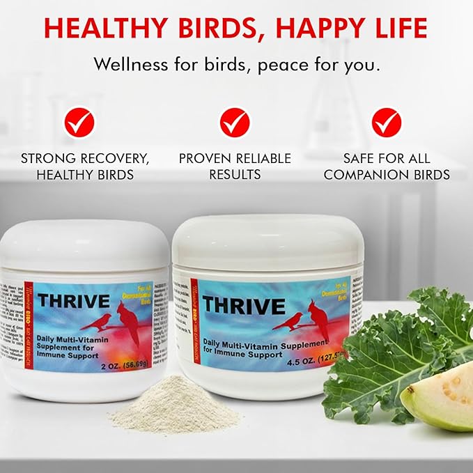 Morning Bird Thrive 2 oz – Daily Multi-Vitamin Bird Supplement for Immune & Recovery Support – Ideal for Sick, Injured, or Recovering Birds – Energy & Wellness Formula for Adult Birds