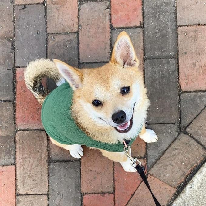 Gooby Stretch Fleece Vest Dog Sweater - Forest Green, X-Large - Warm Pullover Super Stretchy Fleece Dog Jacket for Small to Large Dogs