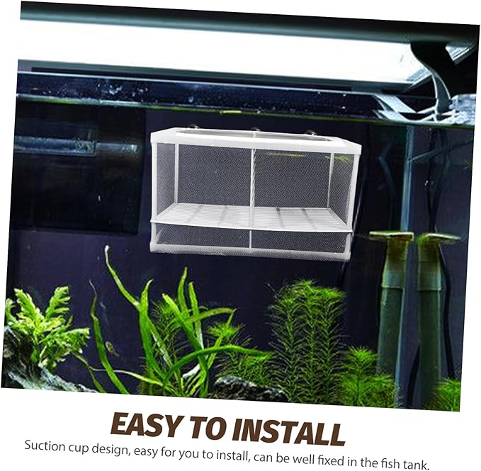 2pcs Fish Tank Breeding Isolation Box Suction Cups Efficient Divider for Shrimp and Fish Hatchery Easy to Install Aquarium Incubator Random Design