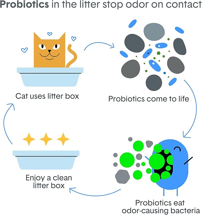 Boxie Probiotic Cat Litter, 40 Day Odor Control, Clumping Clay Kitty Litter, Odor Eliminating Probiotics, Dust-Free, No Fragrances No Fillers, 40 lb