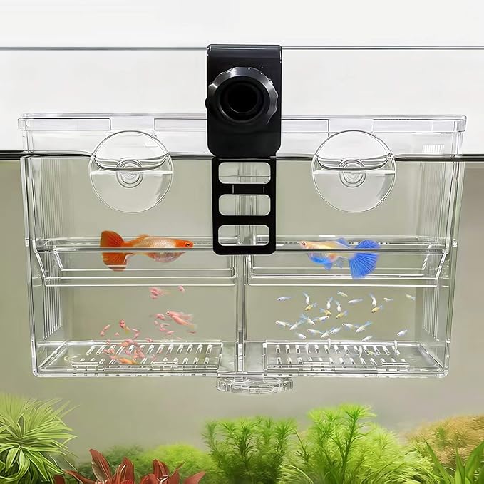 Dual-Chamber Aquarium Fish Breeder & Isolation Box, Transparent Hatching Incubator Tank with Suction Cups & Hook, Nursery for Livebearer Guppy Fry Breeding and Betta Fish, Shrimp Quarantine