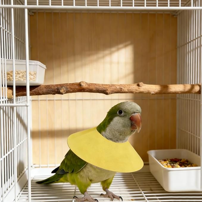 4 Pack Parrot Recovery Collar, Anti-Bite Anti-Plucking Protective E-Collar for Budgies, Lovebirds, Cockatiels & Small Birds, Wound Healing Elizabethan Cone with Adjustable Strap