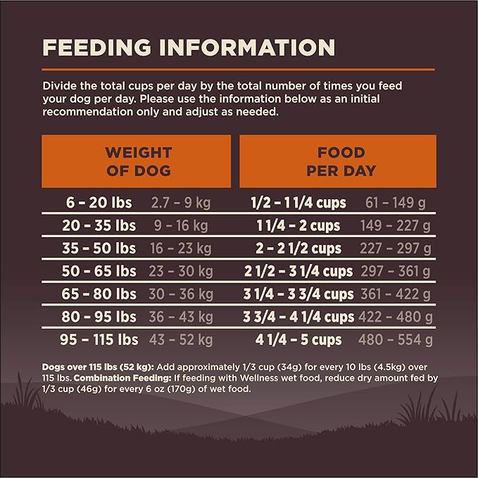 Wellness CORE Adult Dry Dog Food, Grain Free Kibble, Natural, High Protein, Turkey and Chicken Recipe, 26 lb Bag