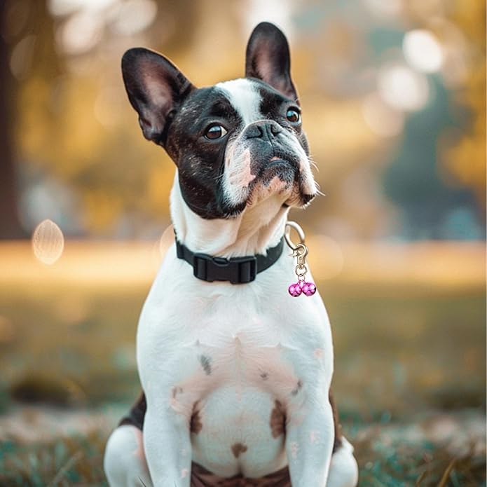 2 PCS Pet Bells for Collar Small Bell for Dog Cat Collar Bells Only Loud Training Pendant Accessories Stainless Steel Collars Charm with Heavy Duty Snap Clips for Dogs Kitty Puppy Pet (Purple)