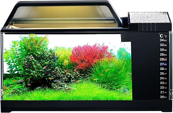 Aquarium Starter Kit - Home Setup Fish Tank Kit, Small LED Filter Bowl | Smart Tabletop Aquatic Tank, Silent Pump Filtration System with Light for Office Desk Room Living Area Display