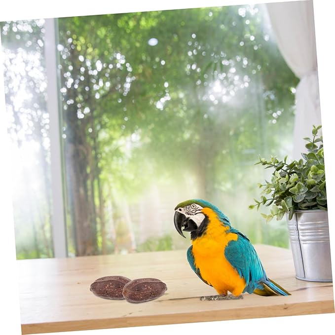8pcs Parrot Foraging Toy Natural Dried Fruit Chewing Toys Bird for Cage Parrot Chewing Bird Bite