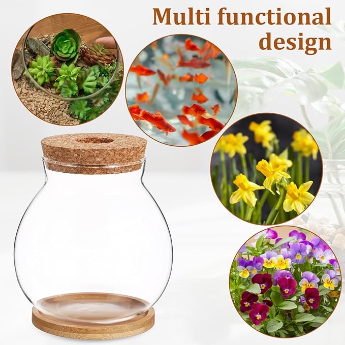 balacoo Betta Fish Bowl Glass Betta Tank with Cushion Hydroponic Plant Terrarium for Home Office Decoration Small Fish Tank for Aquatic Ecosystem