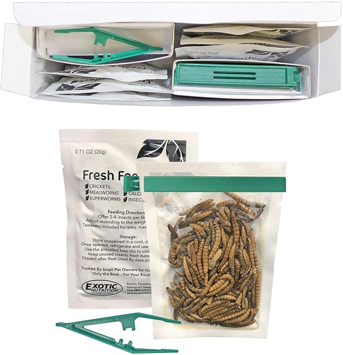 Fresh Feeders (Mealworms) - All Natural High Protein Insect Treat - Single Serving Pouches - Chickens, Wild Birds, Hedgehogs, Bluebirds, Reptiles, Sugar Gliders, Opossums, Skunks, Lizards
