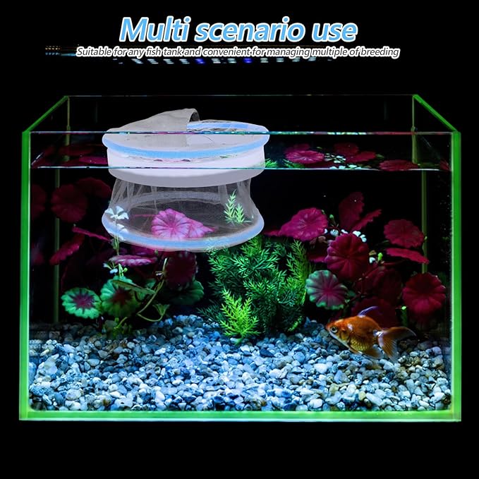 Aquarium Breeding Box Fish Isolation Chamber Nylon Floating Mesh Hatchery Tank for Betta Clownfish Fry Separation and Incubation in Aquarium